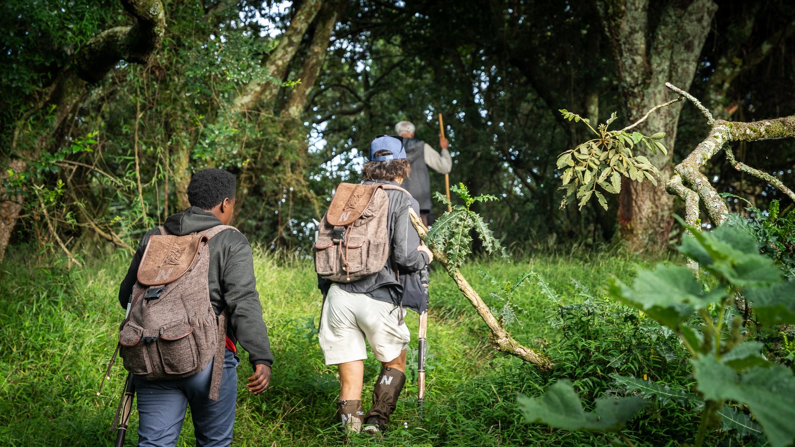 Primates Africa Guest on Gorilla trekking