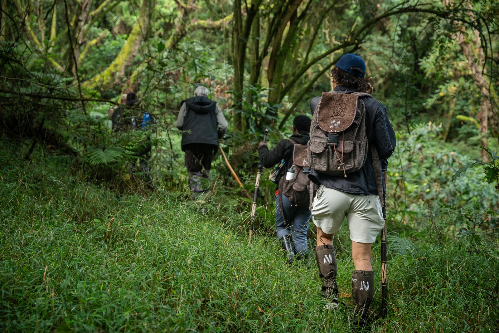 gorilla trekking safaris in Rwanda